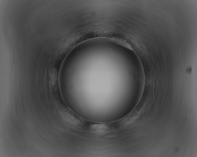 X0000091670133200708231339