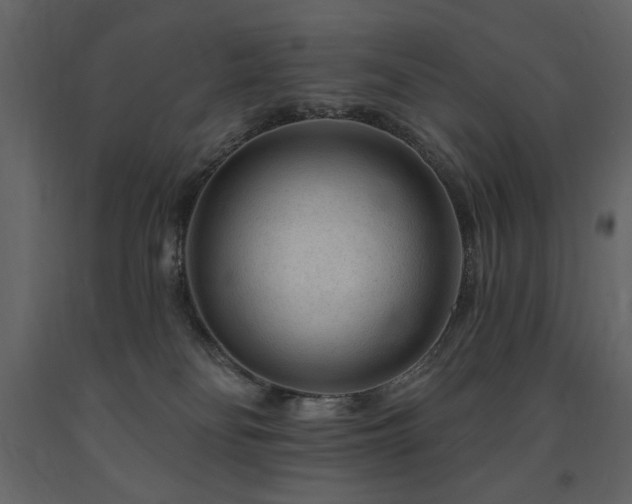X0000091670134200708231339
