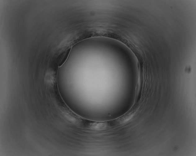 X0000091670135200708231339