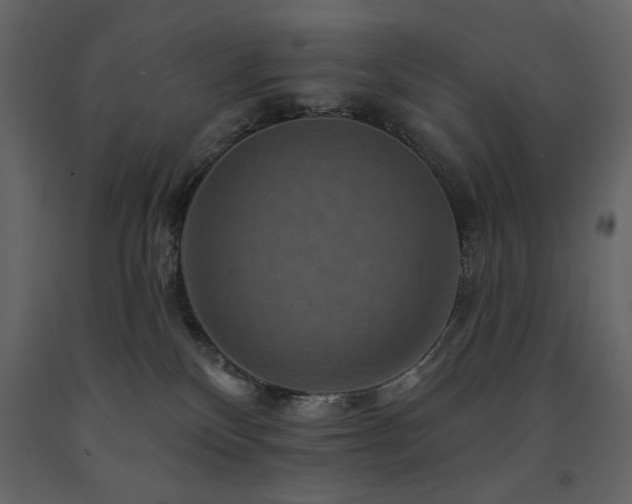 X0000091670136200708231339