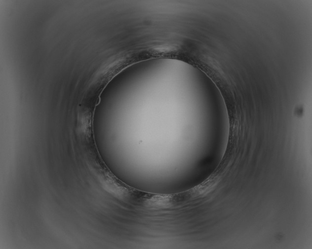X0000091670138200708231339