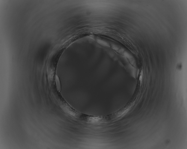 X0000091670139200708231339