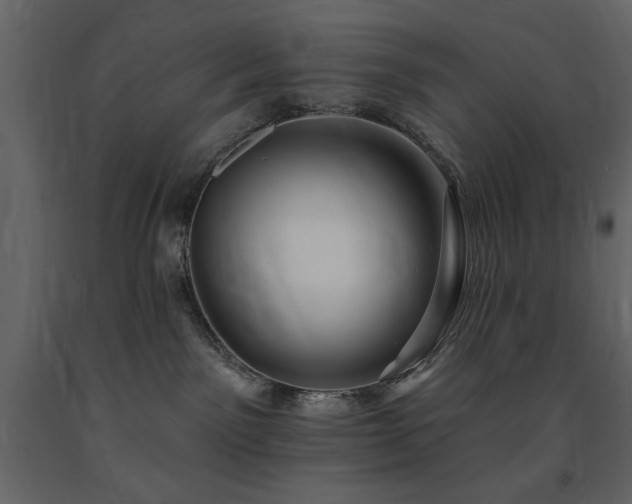 X0000091670141200708231339