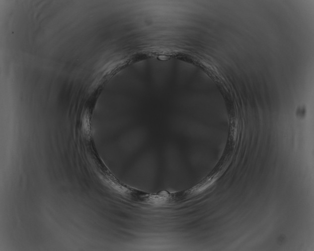 X0000091670143200708231338