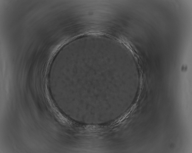 X0000091670145200708231338
