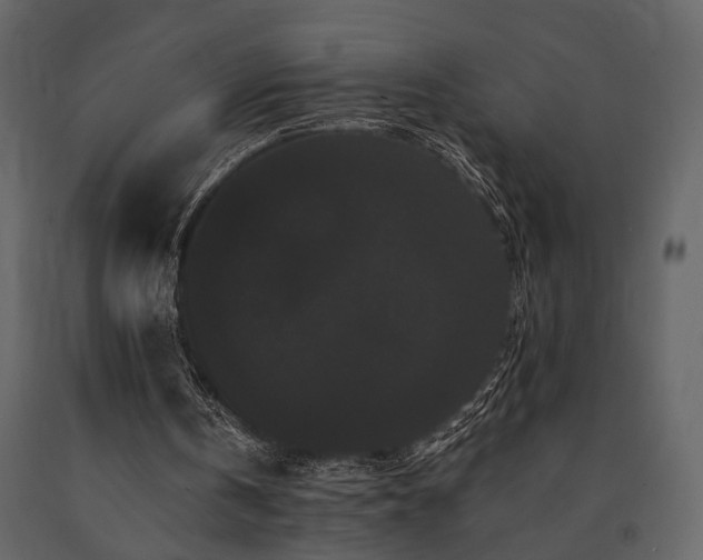 X0000091670146200708231338