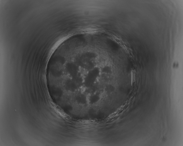 X0000091670147200708231338