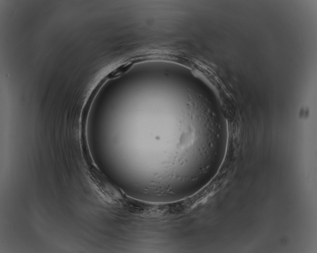 X0000091670148200708231338