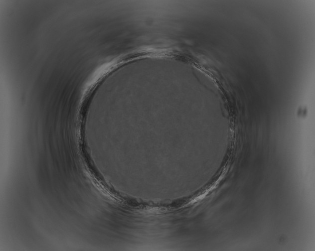 X0000091670149200708231338