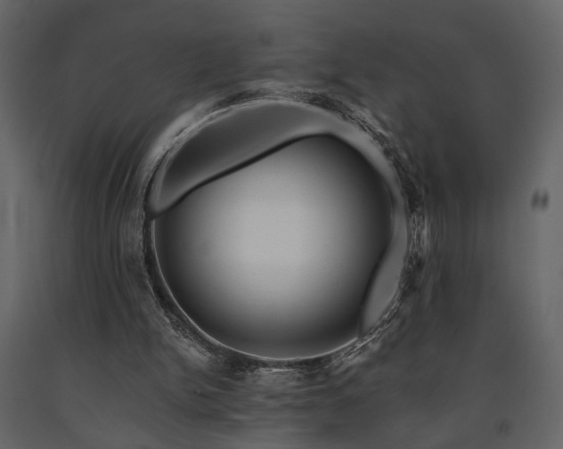 X0000091670150200708231338