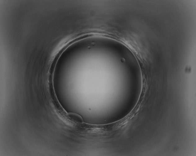 X0000091670151200708231338