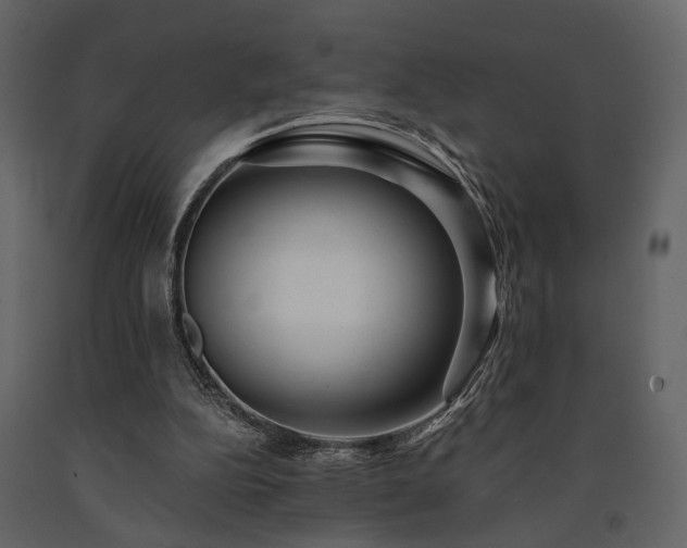 X0000091670152200708231338