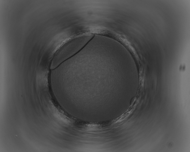 X0000091670154200708231338