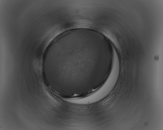 X0000091670156200708231338