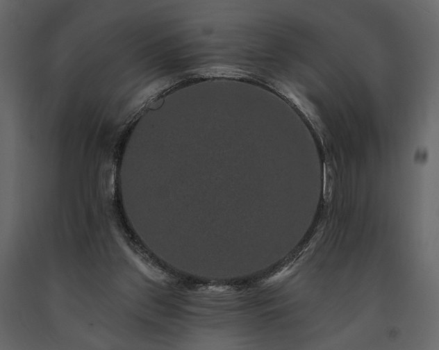 X0000091670157200708231338