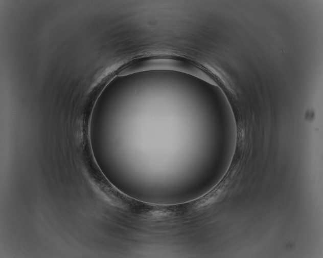 X0000091670158200708231338