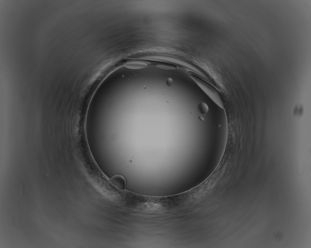 X0000091670159200708231338