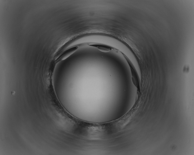 X0000091670160200708231338