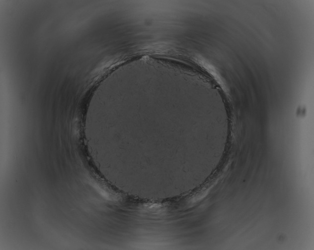 X0000091670161200708231338
