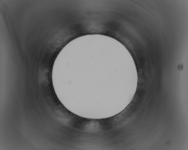 X0000091670162200708231338