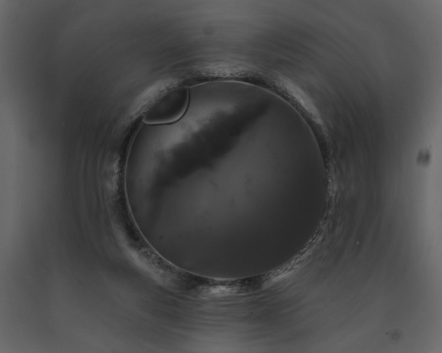 X0000091670163200708231338