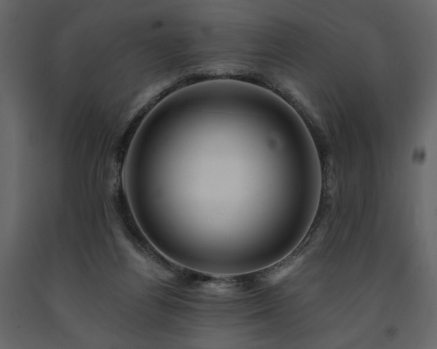 X0000091670164200708231338