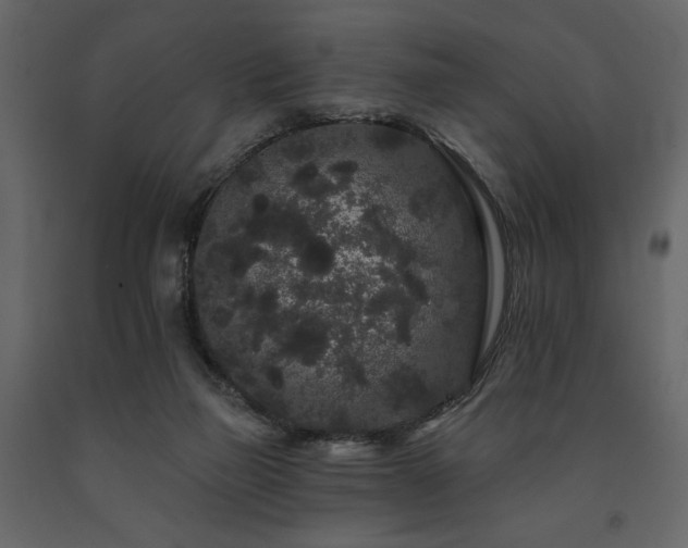 X0000091670165200708231338
