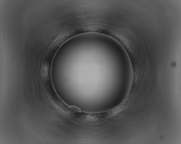 X0000091670166200708231338