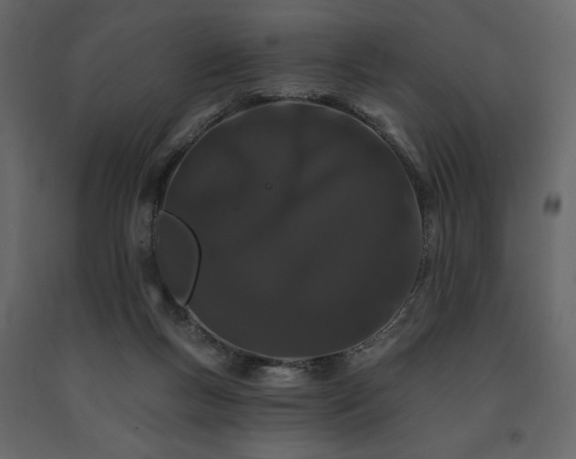 X0000091670167200708231338