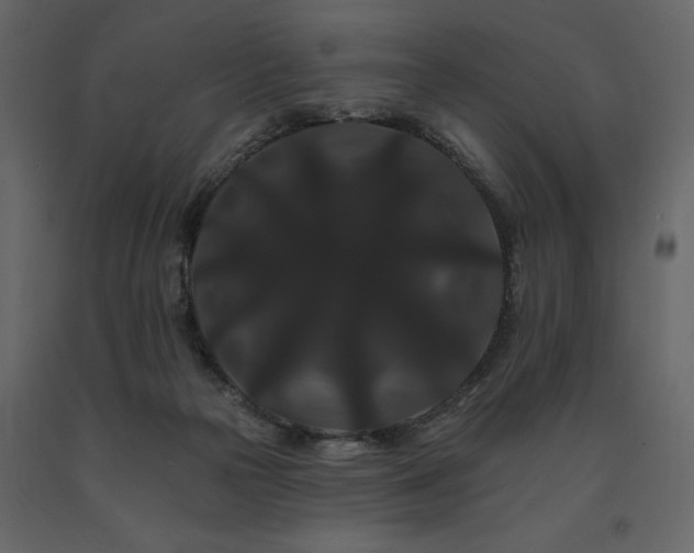 X0000091670169200708231338