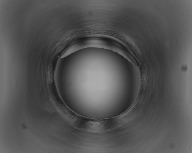 X0000091670170200708231338