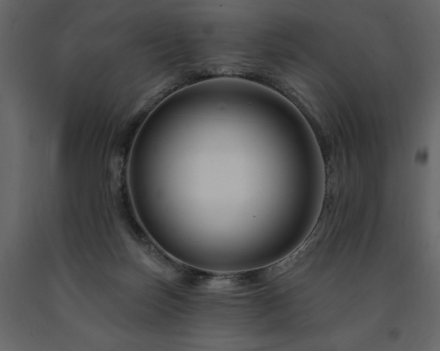 X0000091670171200708231338