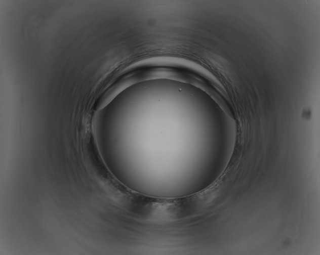 X0000091670172200708231338