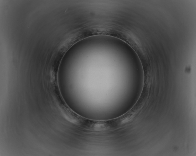 X0000091670173200708231338