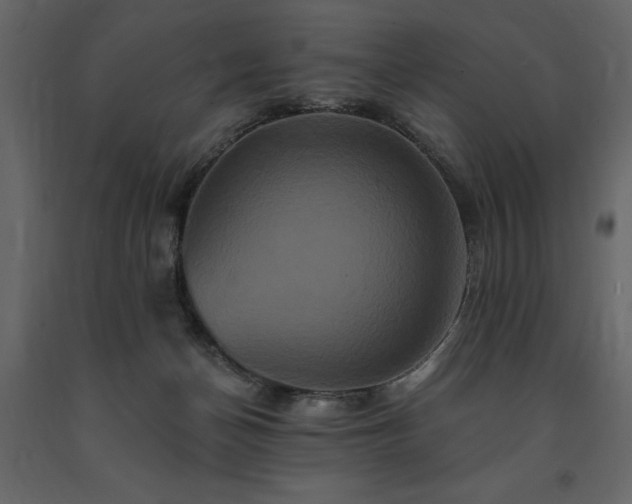 X0000091670174200708231338
