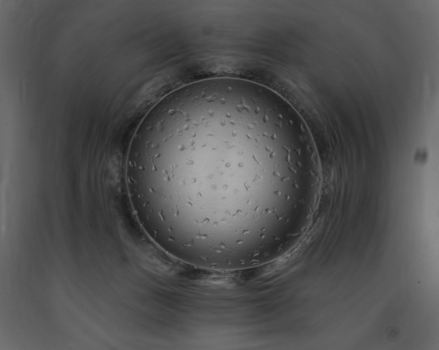 X0000091670175200708231338