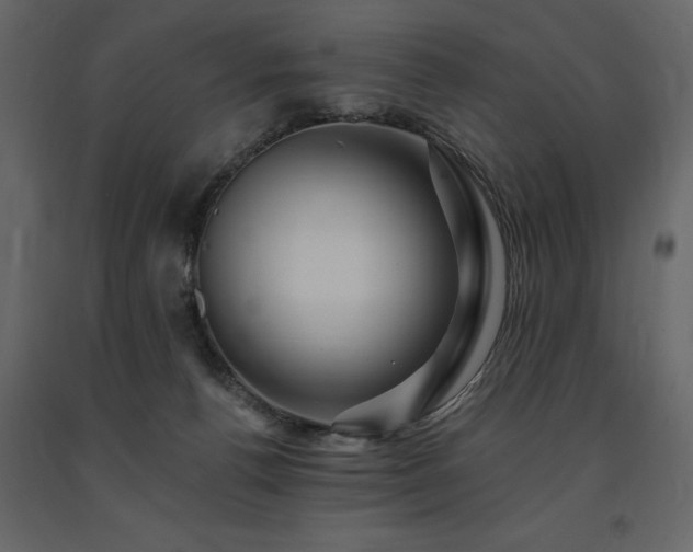 X0000091670176200708231338
