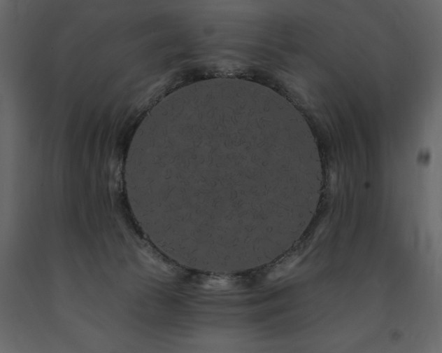 X0000091670177200708231338