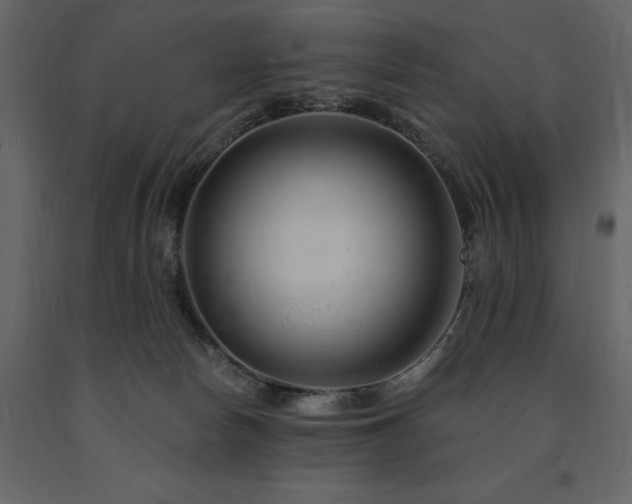 X0000091670178200708231338