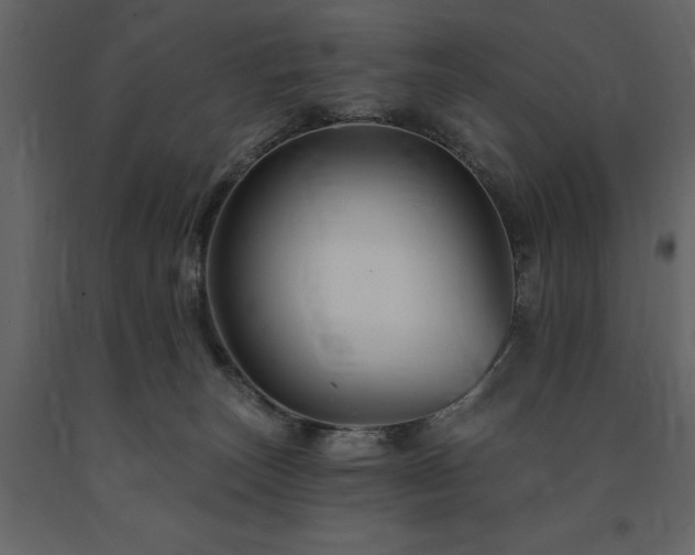 X0000091670179200708231338