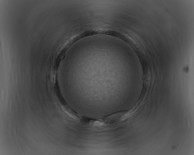 X0000091670180200708231338