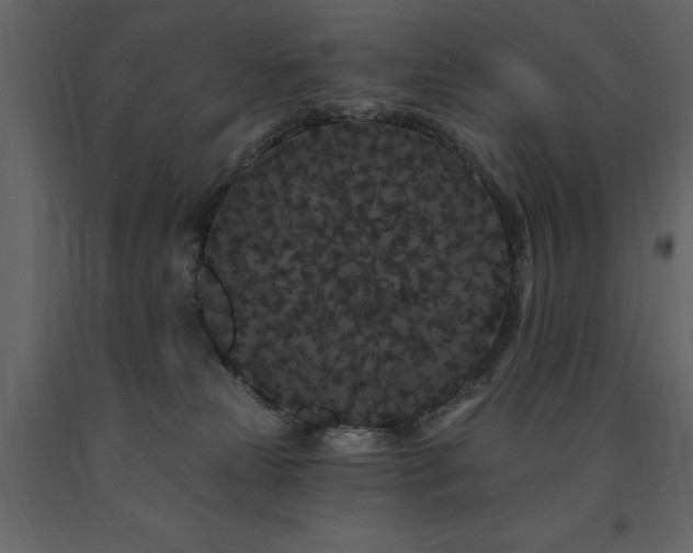 X0000091670181200708231338