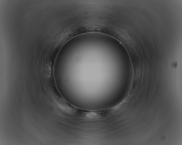 X0000091670183200708231338