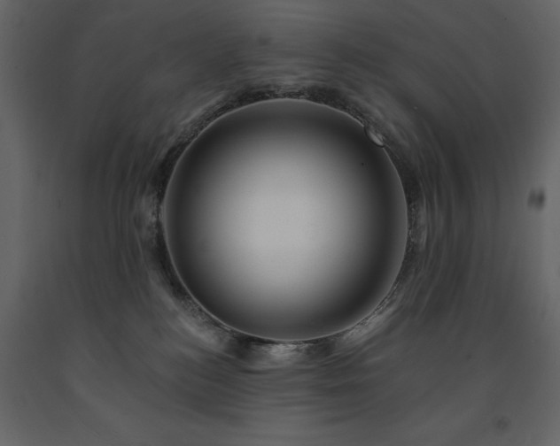X0000091670184200708231338