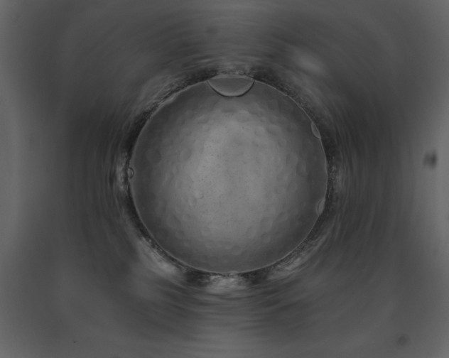 X0000091670185200708231338