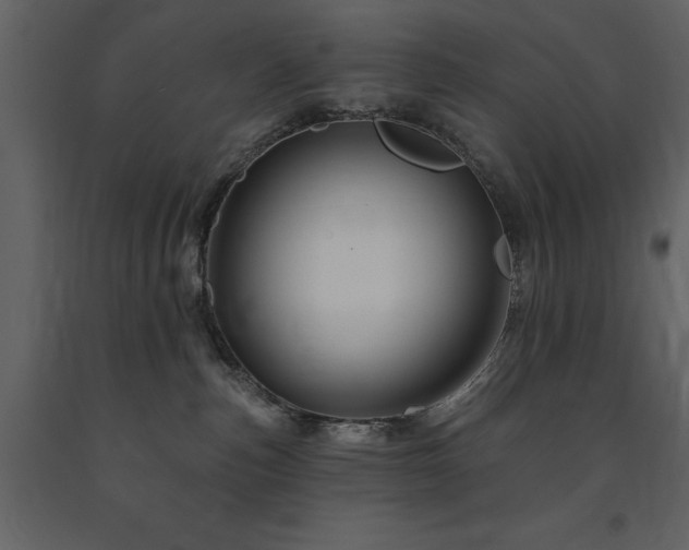 X0000091670187200708231338