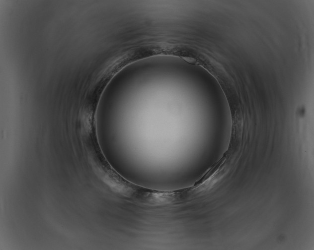 X0000091670188200708231338