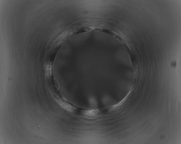 X0000091670191200708231338