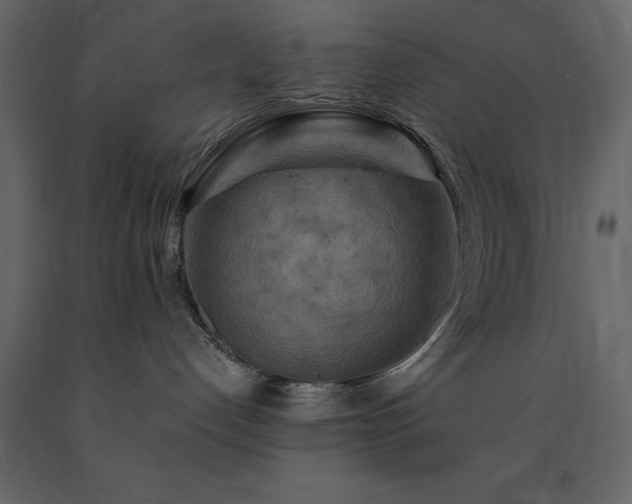 X0000091670192200708231338