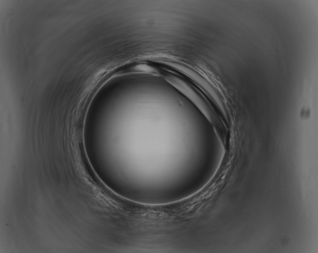 X0000091670193200708231338